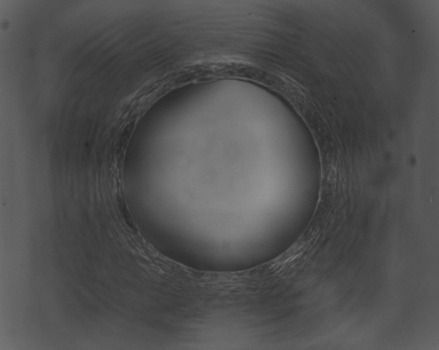 X0000074211014200608250732