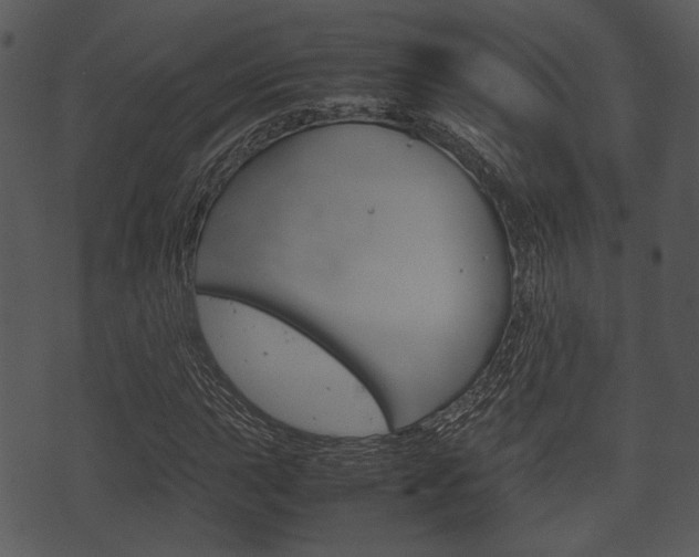 X0000074211015200608250732
