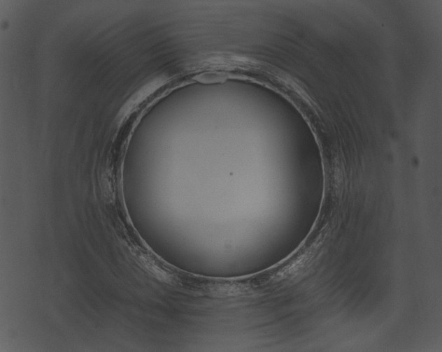X0000074211018200608250732