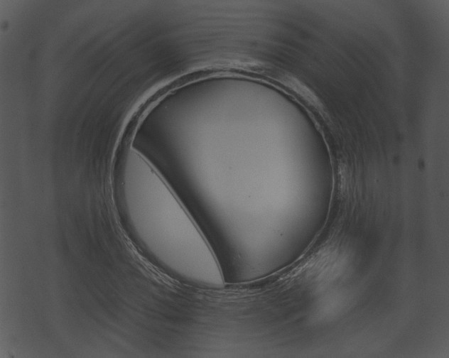 X0000074211020200608250733