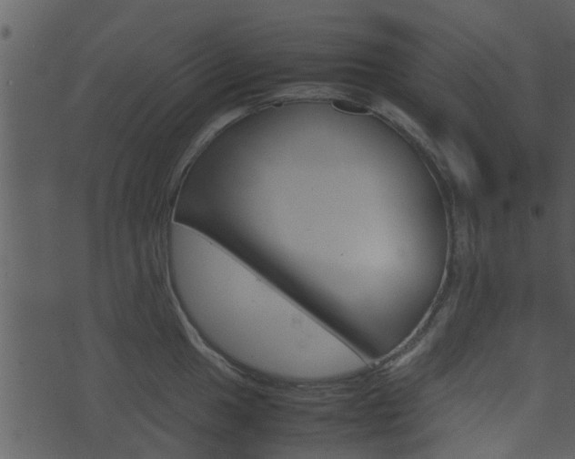 X0000074211049200608250733