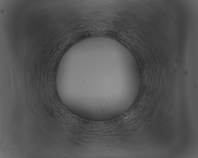 X0000074211057200608250732