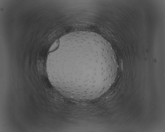 X0000074211059200608250732