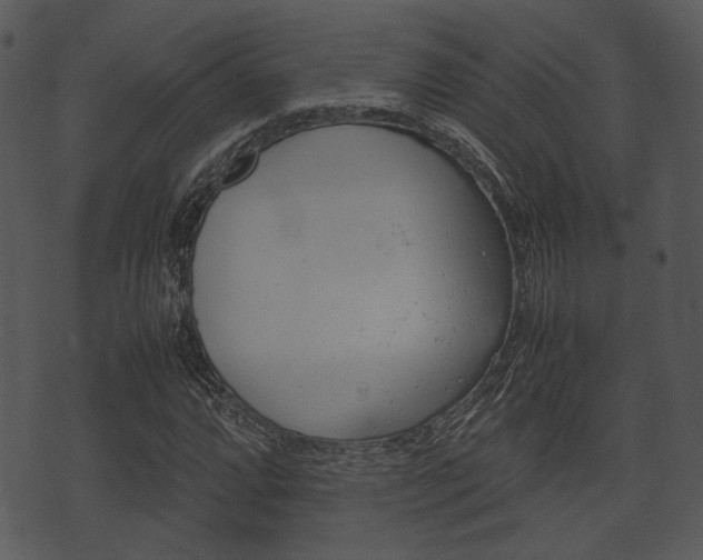 X0000074211064200608250732