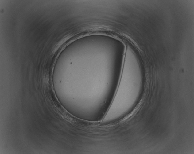 X0000074211065200608250732