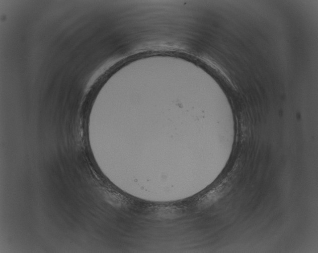 X0000074211070200608250732