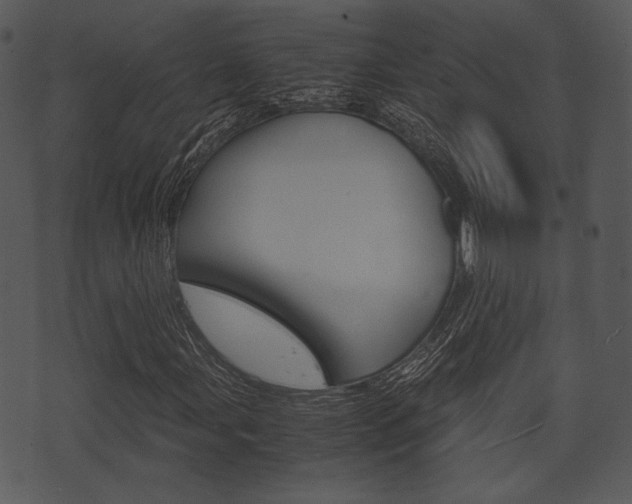 X0000074211107200608250731