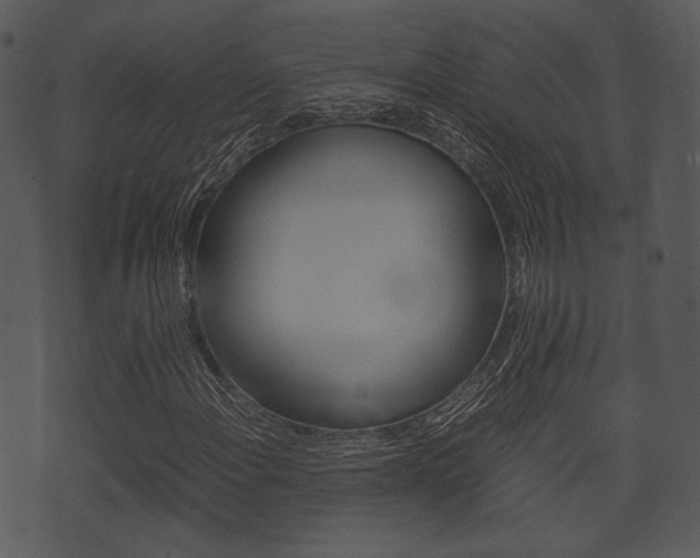 X0000074211108200608250731