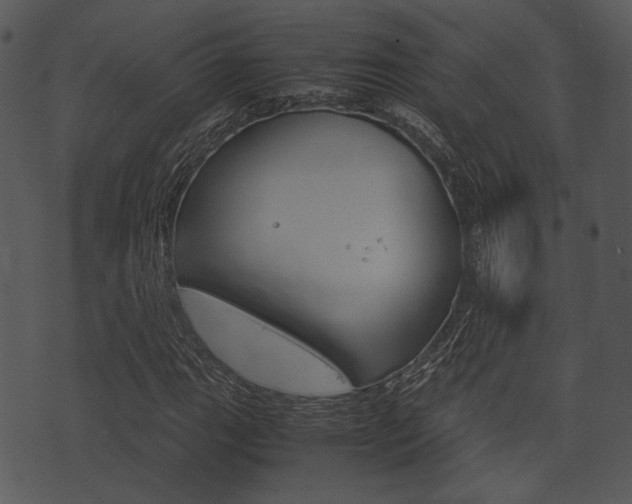 X0000074211111200608250731
