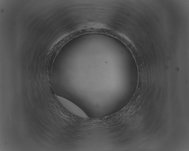 X0000074211112200608250731