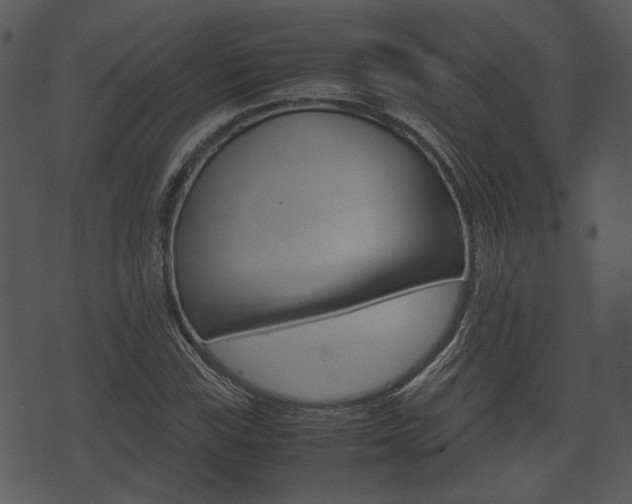 X0000074211115200608250731