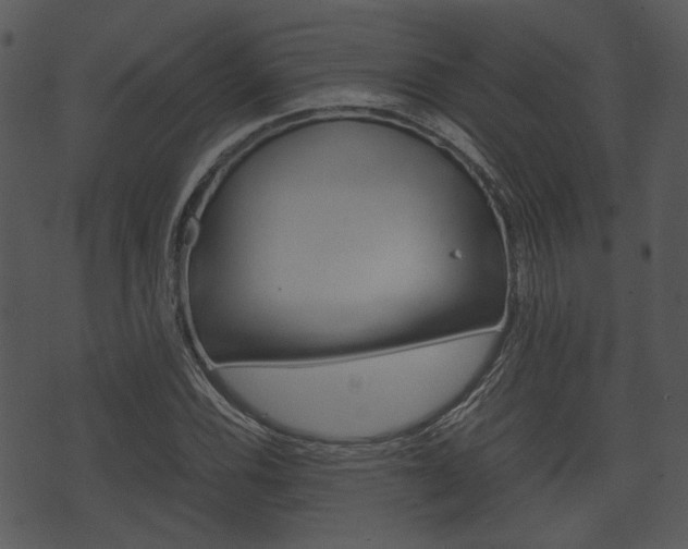 X0000074211116200608250731