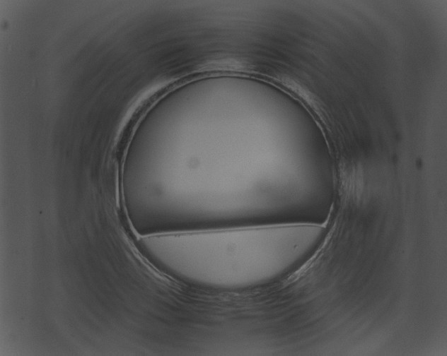 X0000074211123200608250731