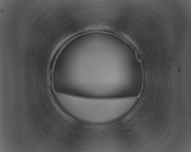 X0000074211124200608250731