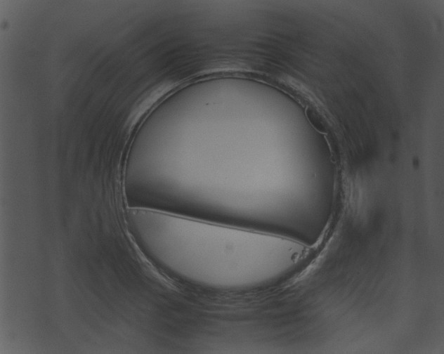 X0000074211129200608250731