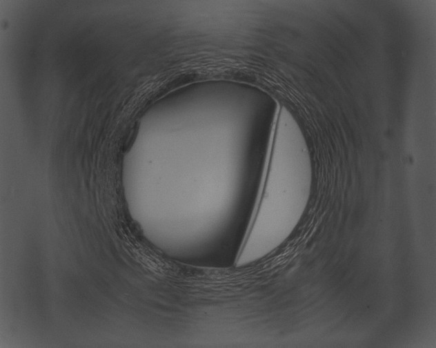 X0000074211153200608250731