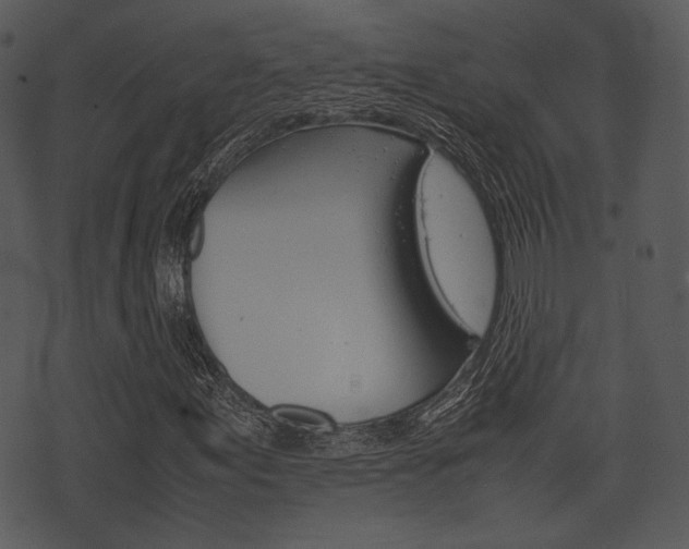 X0000074211155200608250731