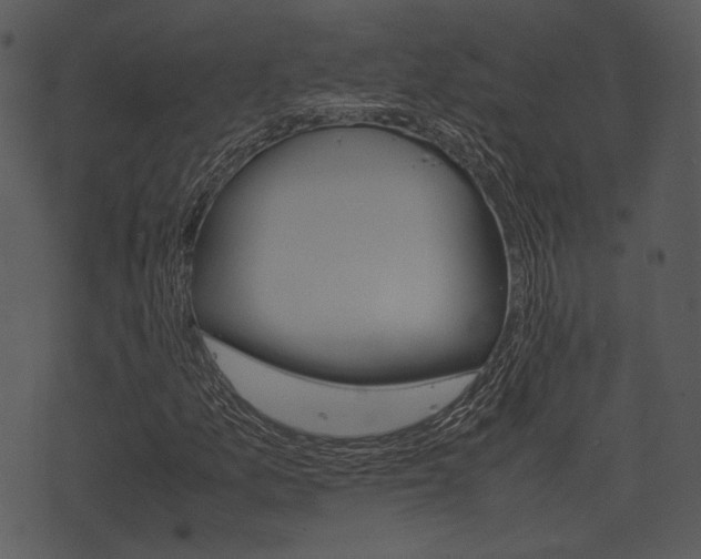 X0000074211157200608250731
