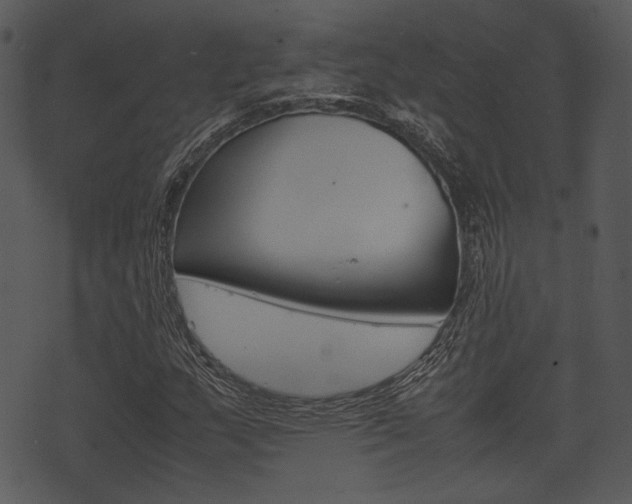 X0000074211159200608250731