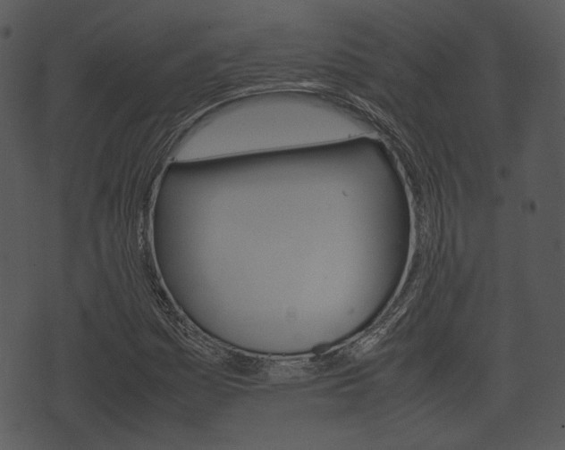 X0000074211161200608250731