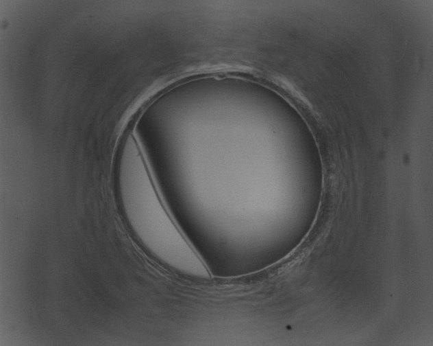 X0000074211173200608250730
