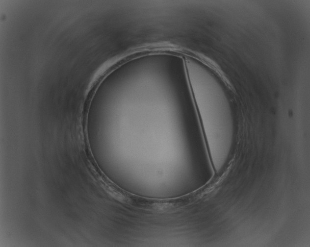 X0000074211176200608250730