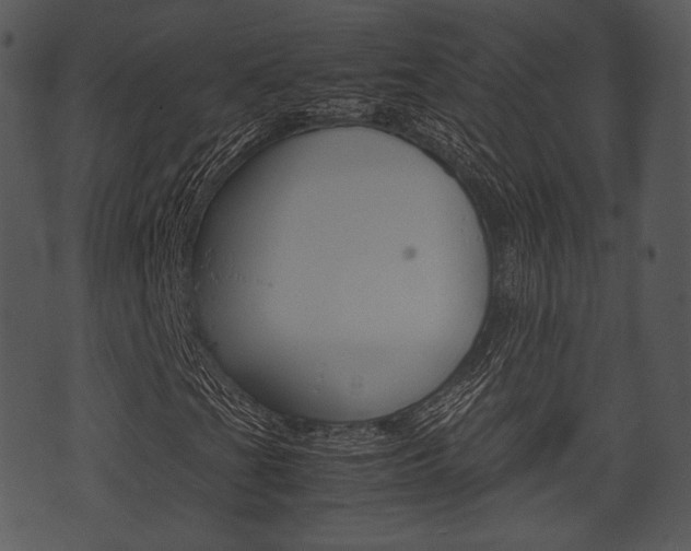 X0000074211201200608250729