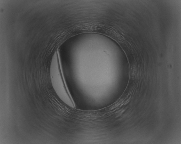 X0000074211202200608250729