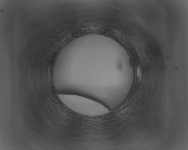 X0000074211203200608250729