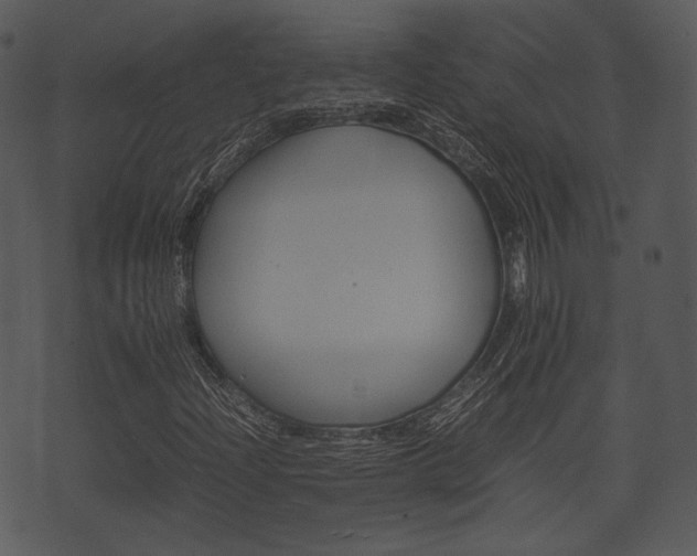 X0000074211204200608250729