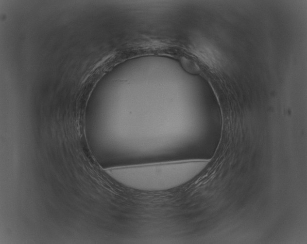 X0000074211205200608250729