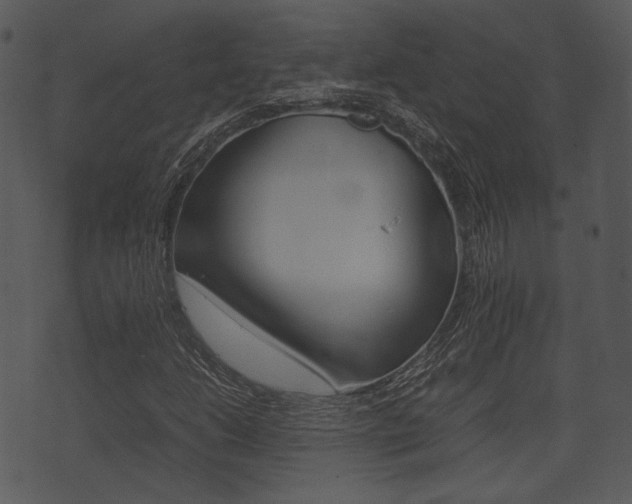 X0000074211206200608250729