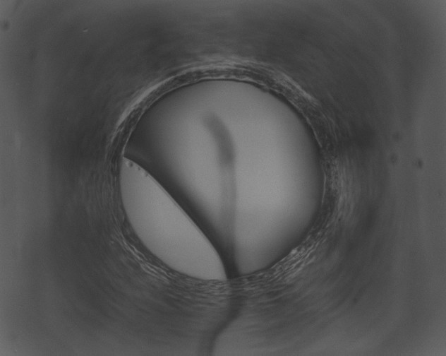 X0000074211208200608250729