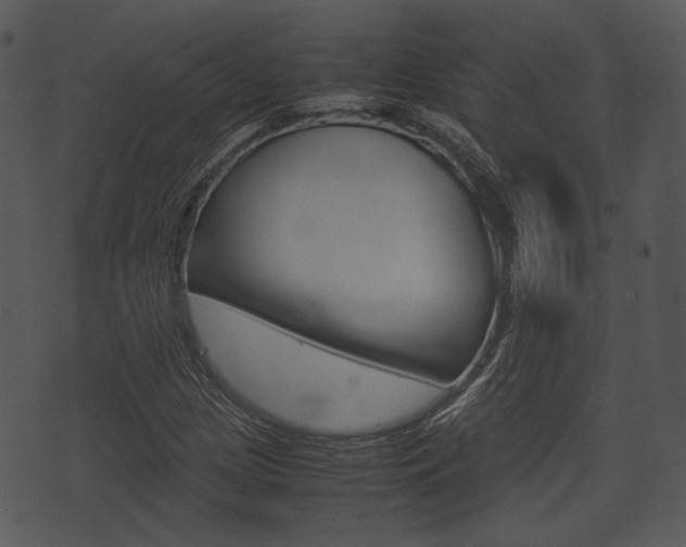 X0000074211209200608250729