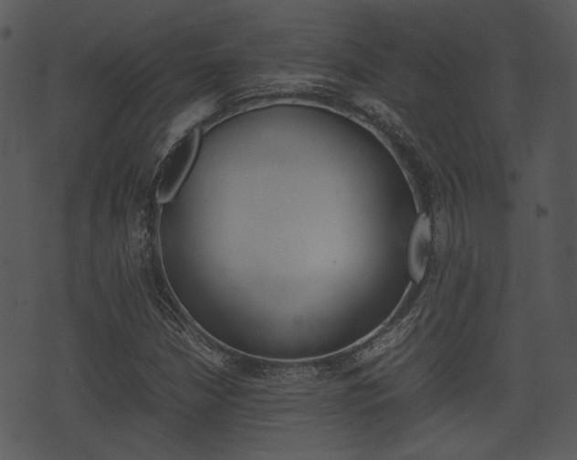 X0000074211210200608250729