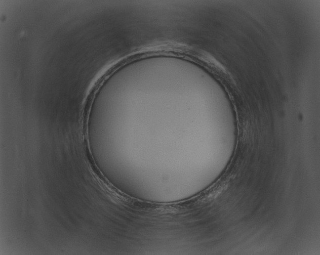 X0000074211216200608250729