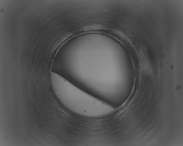 X0000074211217200608250729