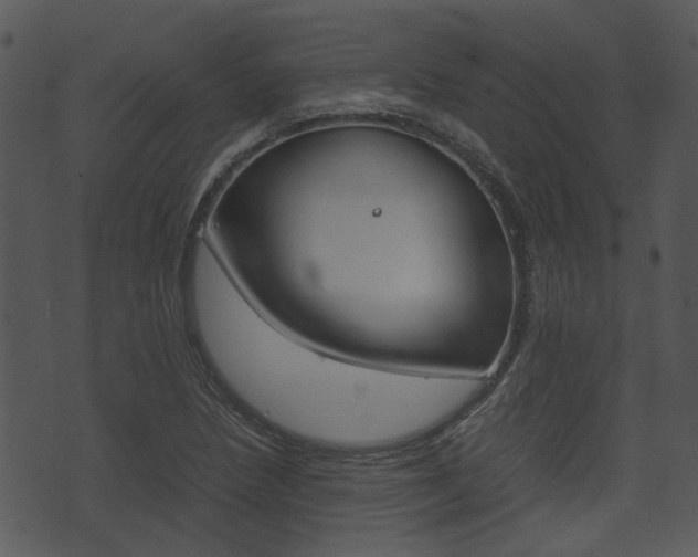 X0000074211218200608250730