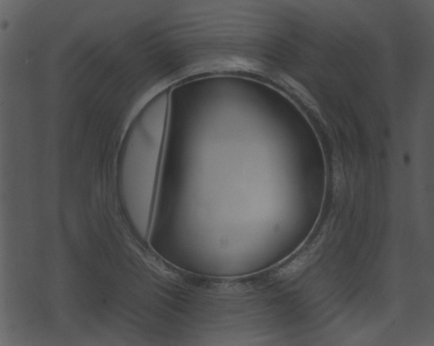 X0000074211226200608250730