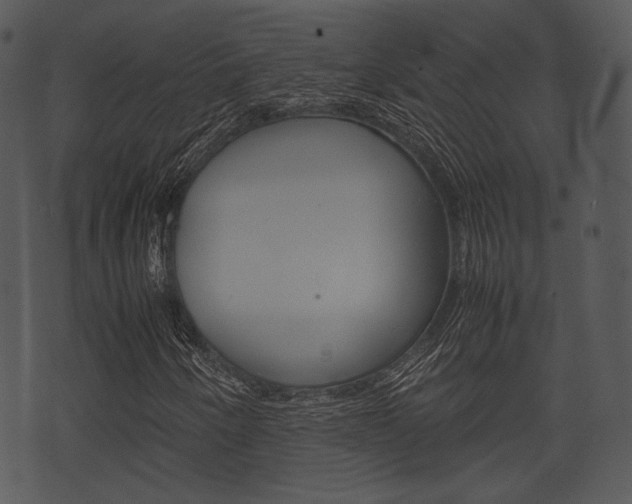 X0000074211250200608250729