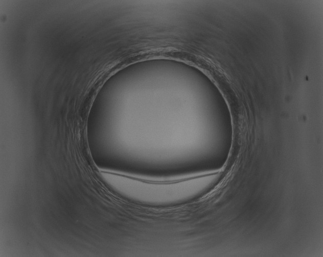 X0000074211257200608250729
