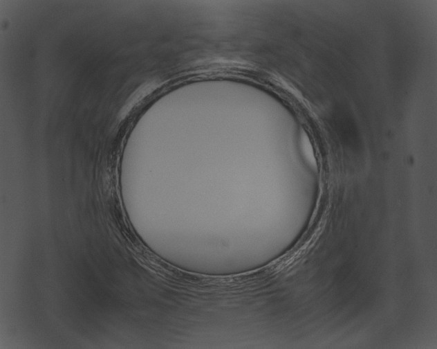 X0000074211259200608250729