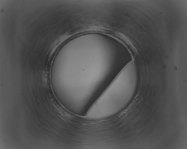 X0000074211260200608250729
