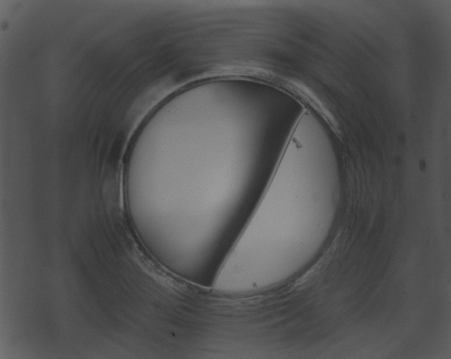 X0000074211276200608250729