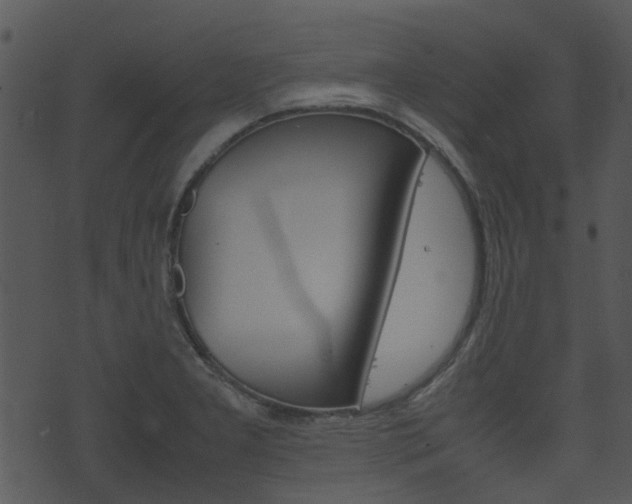 X0000074211277200608250729