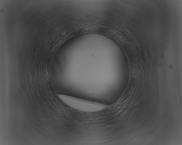X0000074211298200608250728