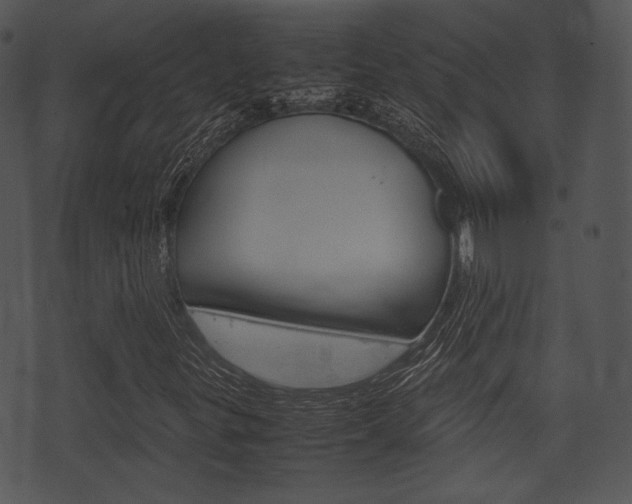 X0000074211299200608250728