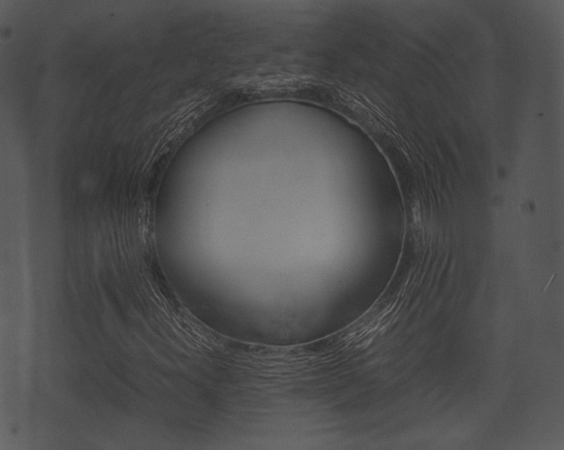 X0000074211300200608250728