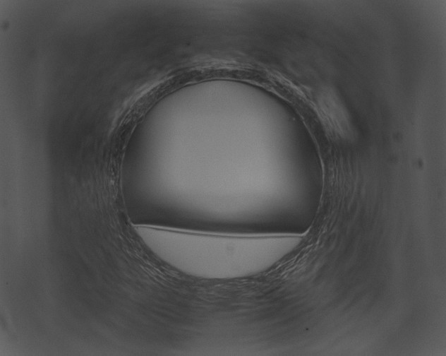 X0000074211303200608250728
