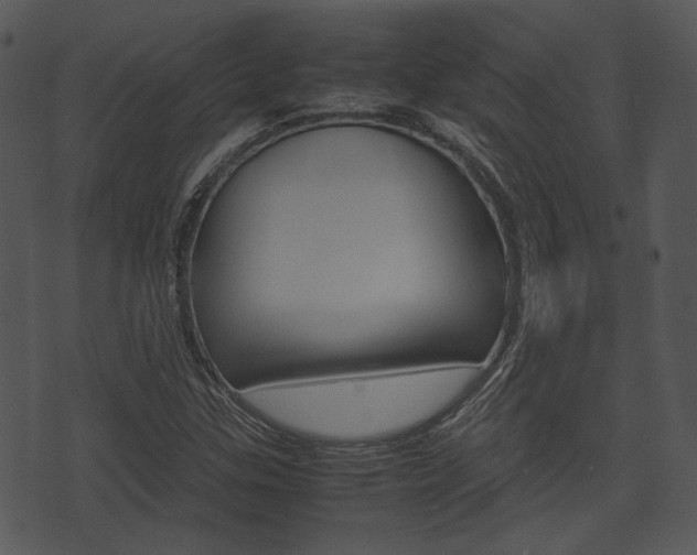 X0000074211307200608250728